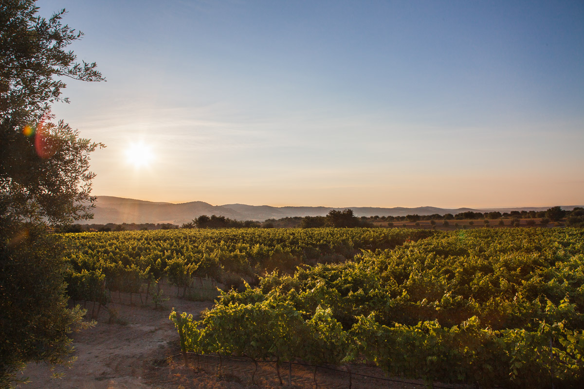 azienda-agricola-la-giasira-fotografia-01